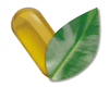 Viva Life Logo